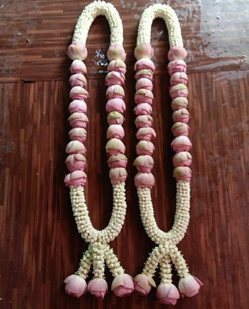 Tagar lotus 